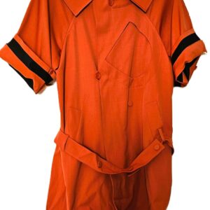 CHLOE Short Sleeve Pleated Back Silk Crepe Dress in Orange